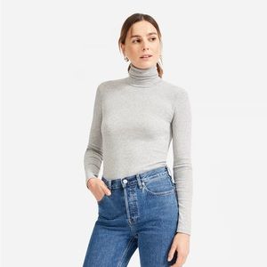 Everlane Pima Cotton Micro-Rib Turtleneck